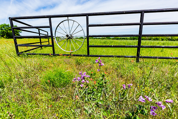 Pipe Fence