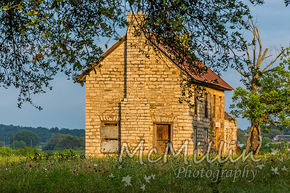 The Texas Bluebonnet House
