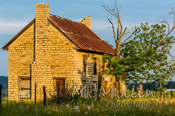 The Texas Bluebonnet House