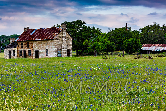 The Texas Bluebonnet House