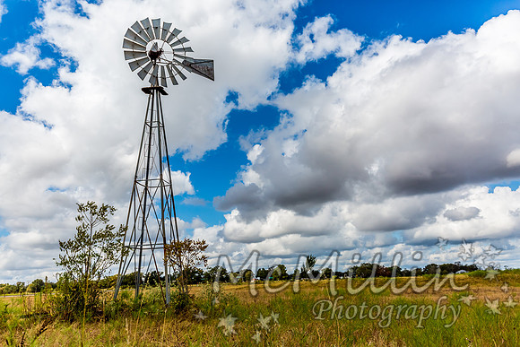 Texas Windmill