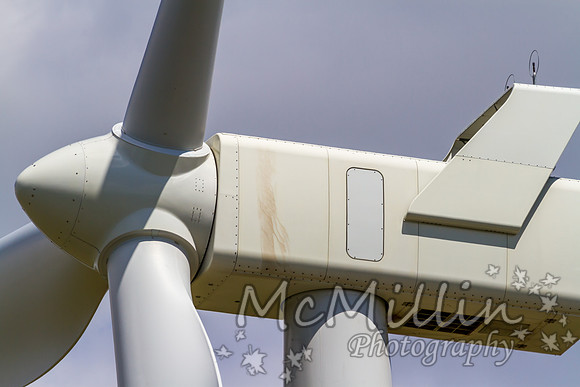 Wind Turbine for Electricity