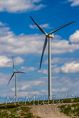 Wind Turbine for Electricity