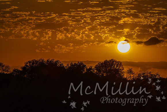 Golden sunset