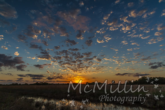 Texas Sunset over creek in prairie