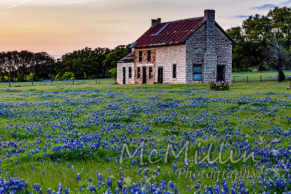 Texas bluebonnet house at sunset