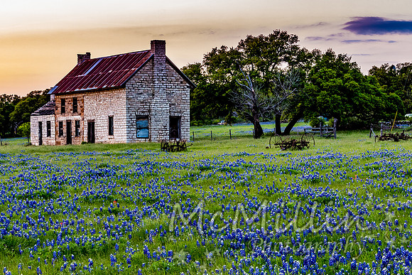 Texas bluebonnet house at sunset