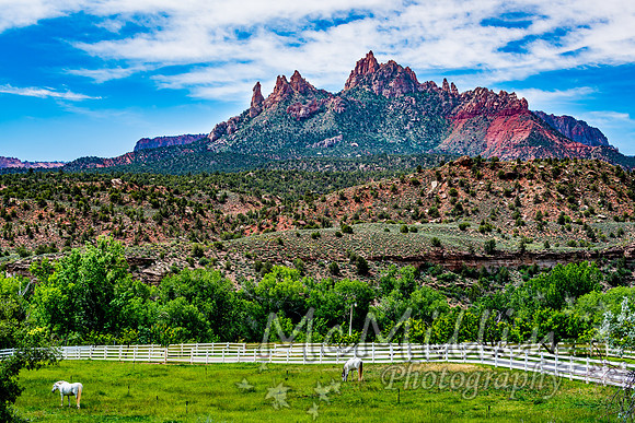 2016 Zion Bryce SonyA7RII-00209
