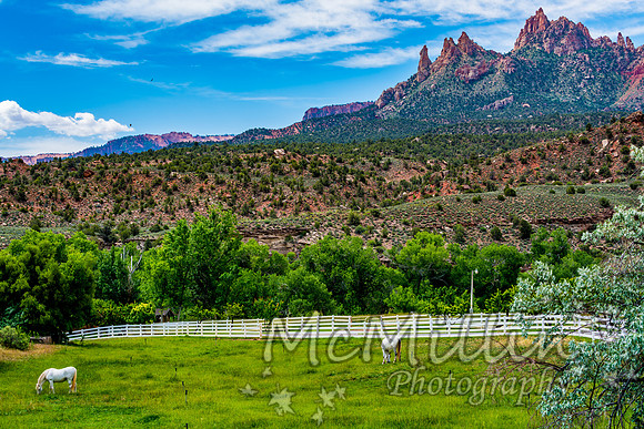 2016 Zion Bryce SonyA7RII-00217