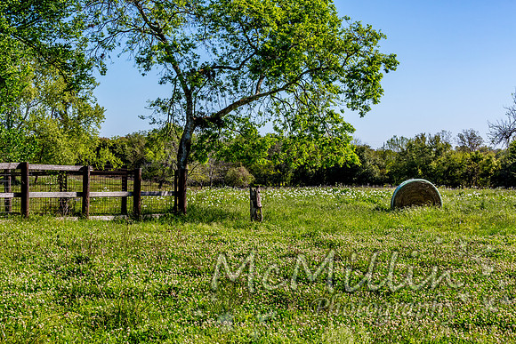 Cattle Pen