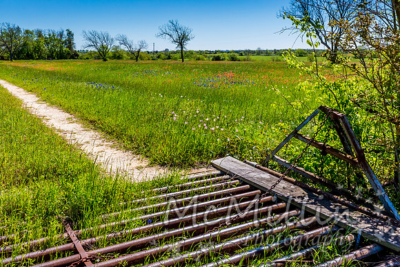 Cattle Grate