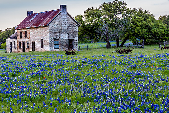 The Texas Bluebonnet House