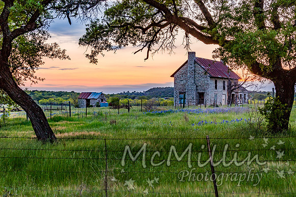 The Texas Bluebonnet House