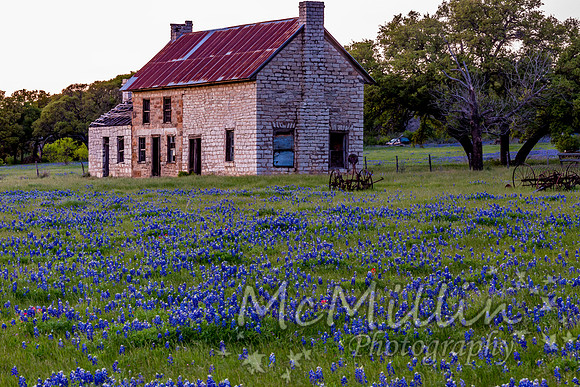The Texas Bluebonnet House