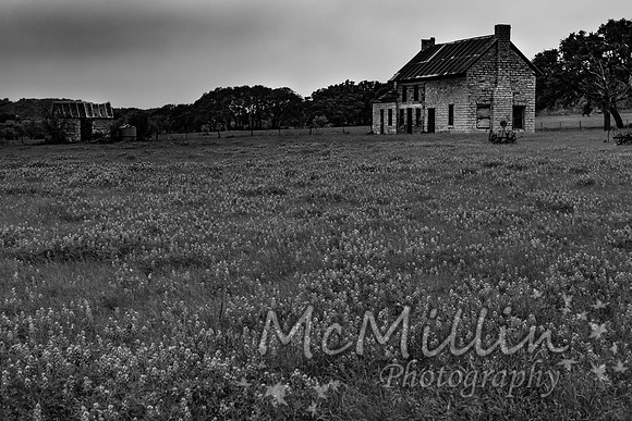 The Texas Bluebonnet House