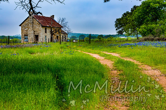 The Texas Bluebonnet House