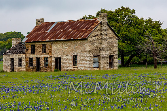 The Texas Bluebonnet House