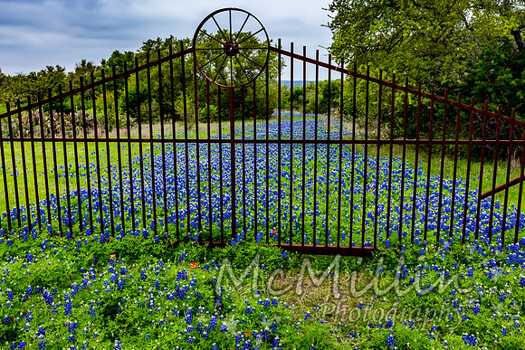 Rod Iron Fence