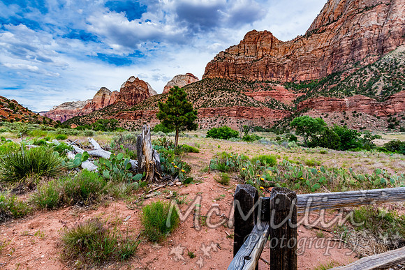 Wooden Rail Fence