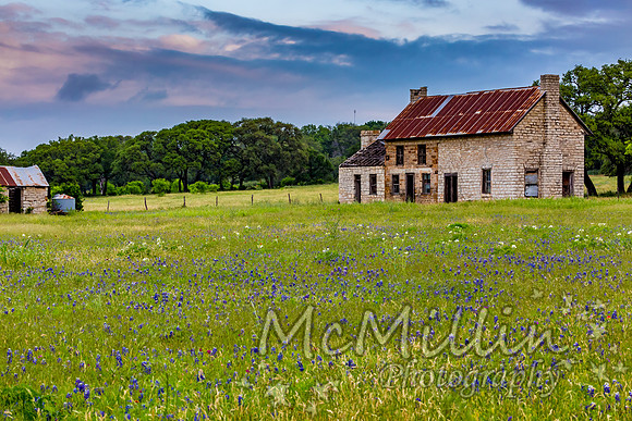 The Texas Bluebonnet House
