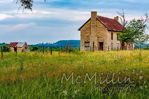 The Texas Bluebonnet House