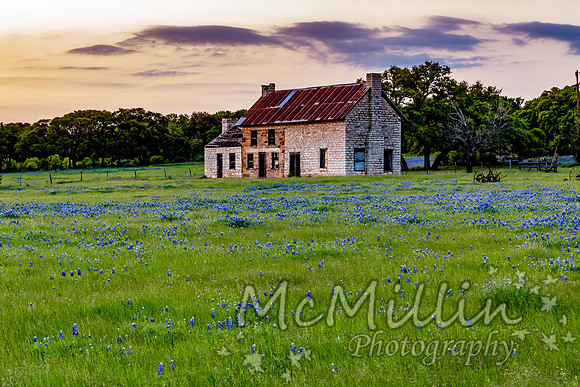The Texas Bluebonnet House