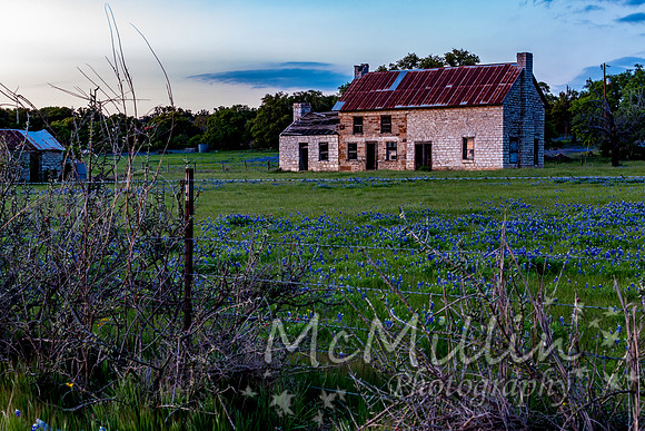 The Texas Bluebonnet House