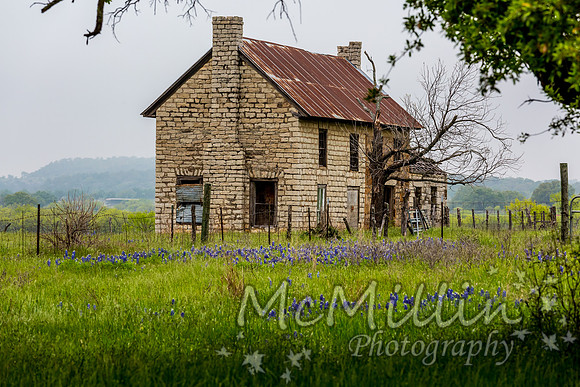 The Texas Bluebonnet House