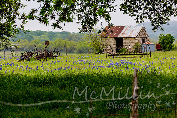 The Texas Bluebonnet House