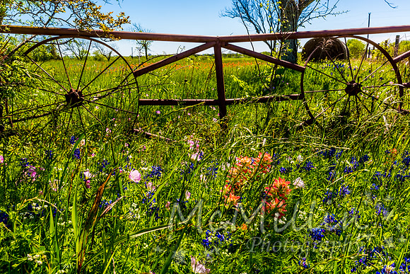 Pipe Fence