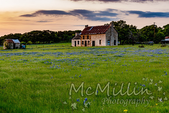 The Texas Bluebonnet House