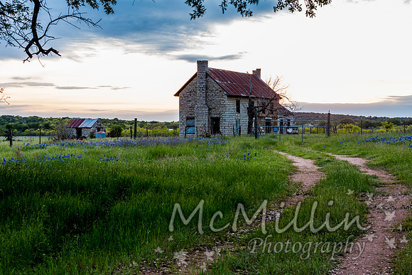 The Texas Bluebonnet House