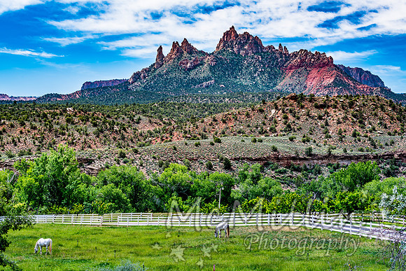 2016 Zion Bryce SonyA7RII-00208