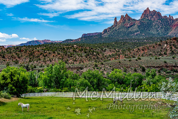 2016 Zion Bryce SonyA7RII-00212