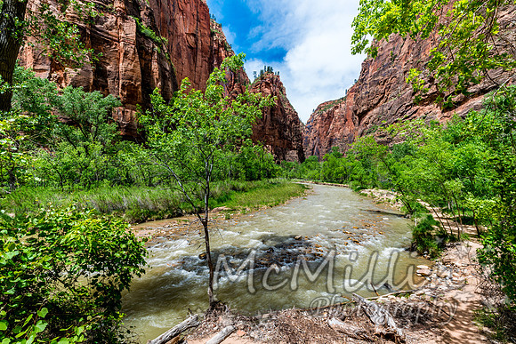 2016 Zion Bryce SonyA7RII-00403