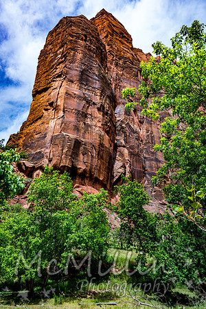 2016 Zion Bryce SonyA7RII-00419