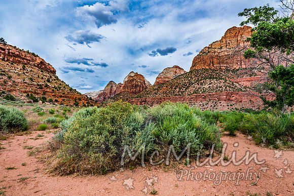 2016 Zion Bryce SonyA7RII-00465