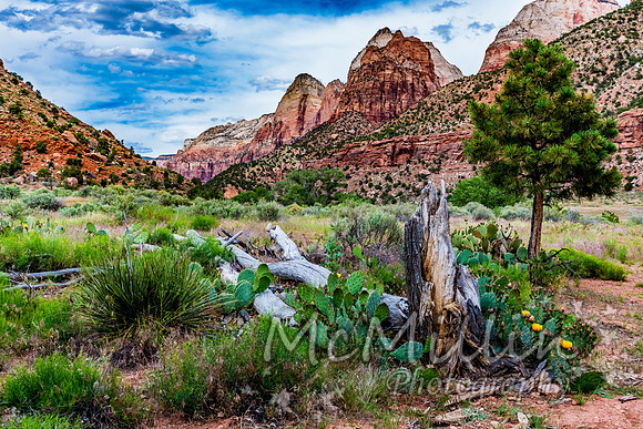 2016 Zion Bryce SonyA7RII-00504