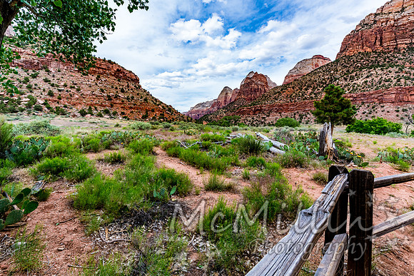 2016 Zion Bryce SonyA7RII-00510