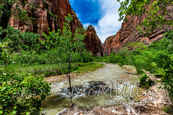 2016 Zion Bryce SonyA7RII-00404