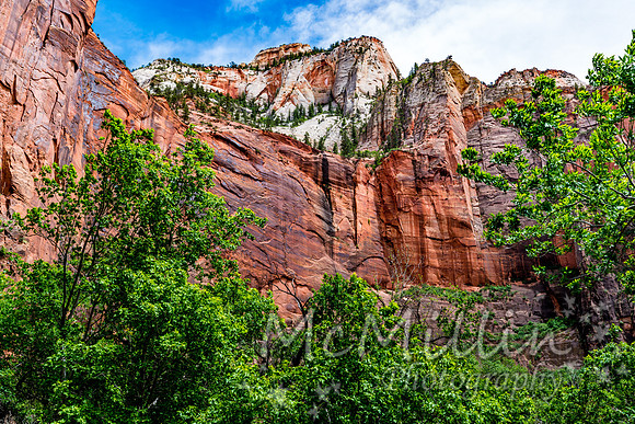 Canyon Walls at Zion National Park, Utah.
