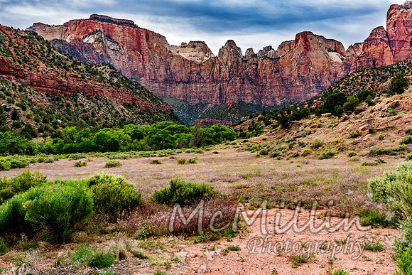 Canyon Walls at Zion National Park, Utah.