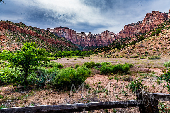 Canyon Walls at Zion National Park, Utah.