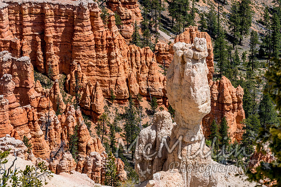 Beautiful Hoodoos in Bryce Canyon National Park, Utah, USA.