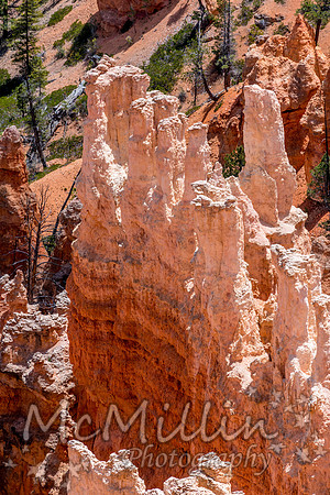 Beautiful Hoodoos in Bryce Canyon National Park, Utah, USA.