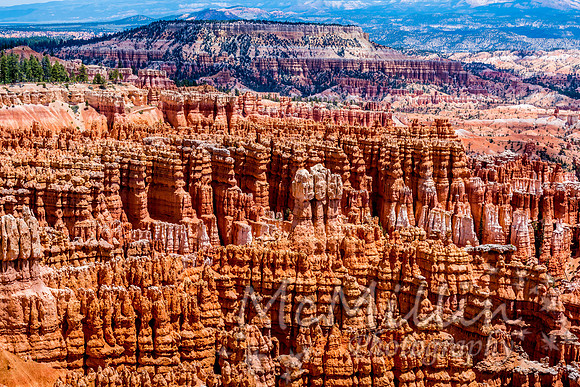 Beautiful Hoodoos in Bryce Canyon National Park, Utah, USA.