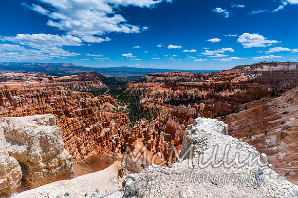 Beautiful Hoodoos in Bryce Canyon National Park, Utah, USA.