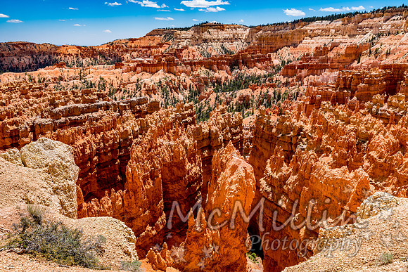 Beautiful Hoodoos in Bryce Canyon National Park, Utah, USA.