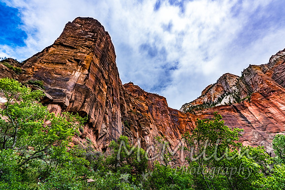 Canyon Walls at Zion National Park, Utah.