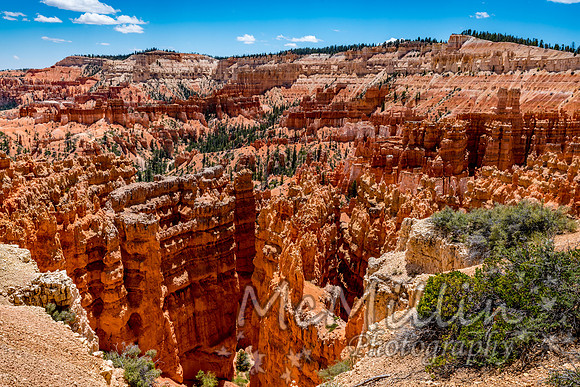 Beautiful Hoodoos in Bryce Canyon National Park, Utah, USA.